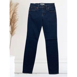 Madewell Skinny Skinny Women's Mid Rise Stretch Blue Jeans Size 26